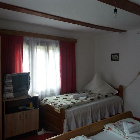Pensiunea Letitia Sucevita Esterno foto