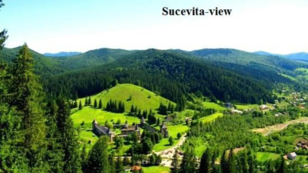 Pensiunea Letitia Sucevita Esterno foto